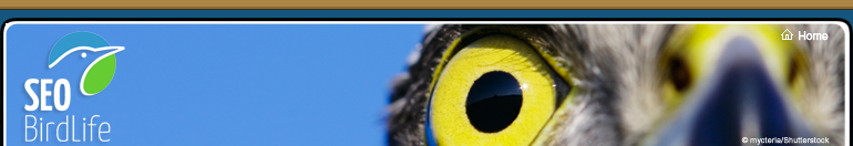SEO/BirdLife